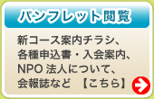 �p���t���b�g�{��